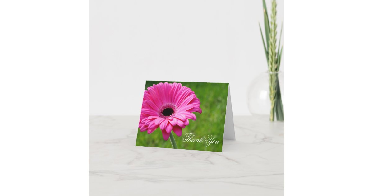 Pink Gerbera Daisy Flower Thank You Greeting Card | Zazzle