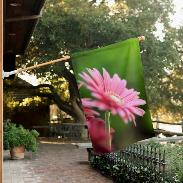 Pink Gerbera Daisy House Flag (In SItu)