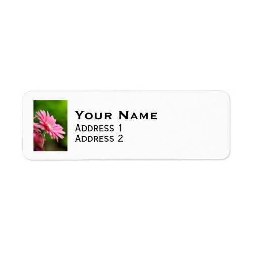 Pink Gerbera Daisy Label