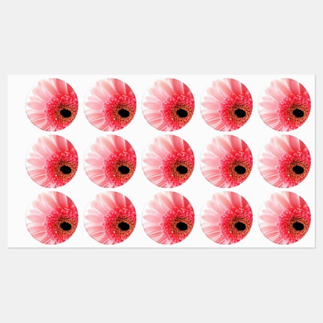 Pink Gerbera Daisy Labels (Sheet)