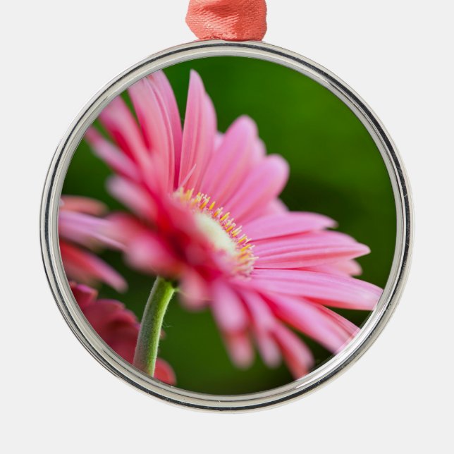 Pink Gerbera Daisy Metal Ornament (Front)