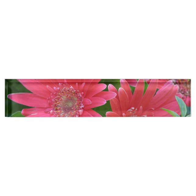 Pink Gerbera Daisy Name Plate (Front)