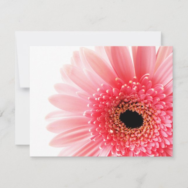 Pink Gerbera Daisy Note Card (Front)
