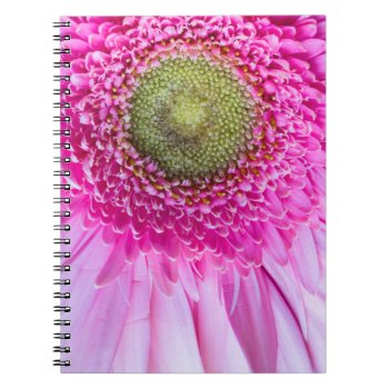 Pink Gerbera Daisy Notebook by AeshnidaeAesthetics at Zazzle