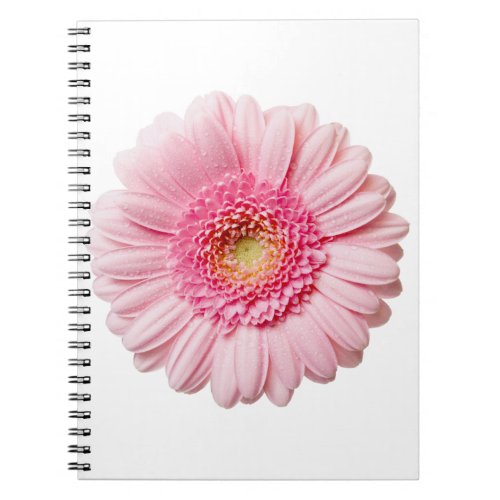 Pink Gerbera Daisy Notebook