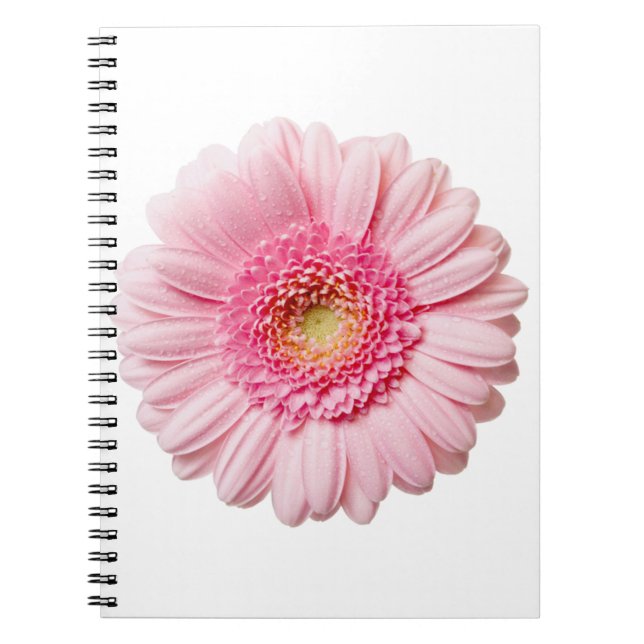 Pink Gerbera Daisy Notebook (Front)