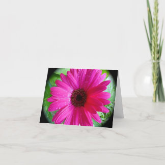 Pink Gerbera Daisy notecard