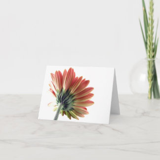 Pink Gerbera Daisy Notecard