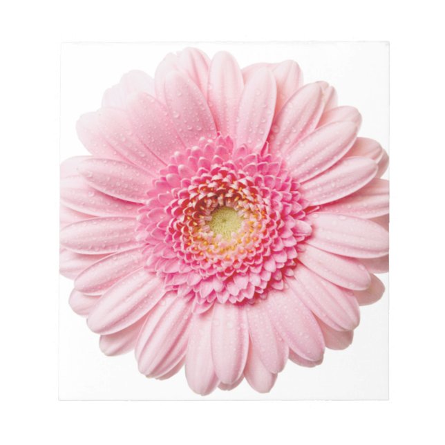 Pink Gerbera Daisy Notepad (Front)
