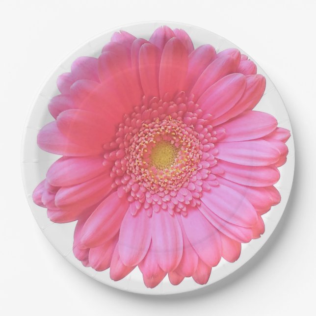 Pink gerbera daisy paper plates (Front)