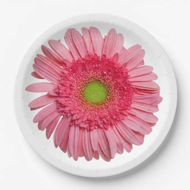 Pink Gerbera Daisy Paper Plates (Front)