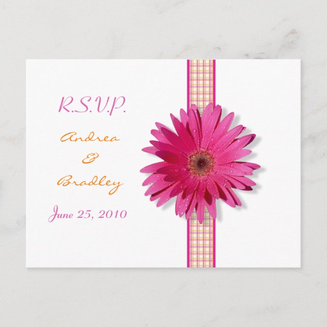 Pink Gerbera Daisy Plaid Ribbon RSVP Postcard (Front)