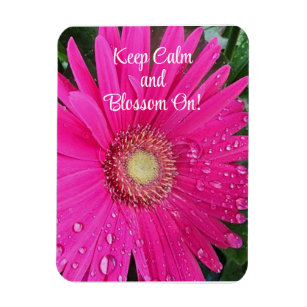 Pink Gerbera Daisy Rain Drops Keep Calm Magnet