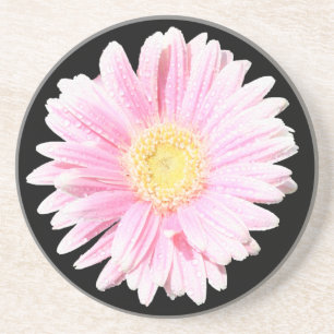 Pink Gerbera Daisy Sandstone Coaster