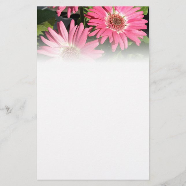 Pink Gerbera Daisy Stationery (Front)