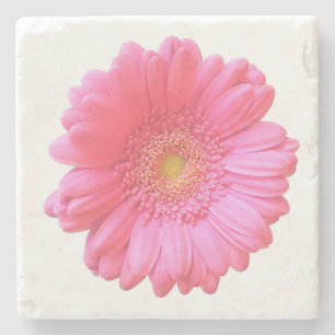 Pink gerbera daisy stone coaster