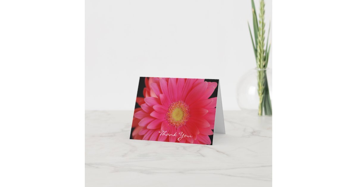 Pink Gerbera Daisy Thank You Card | Zazzle