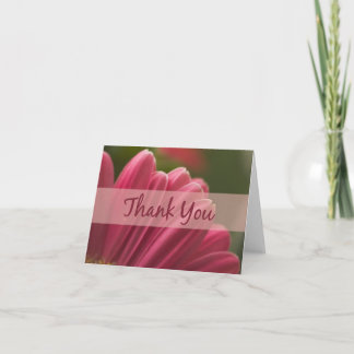 Pink Gerbera Daisy Thank You Cards
