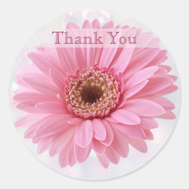 Pink Gerbera daisy Thank you Sticker (Front)