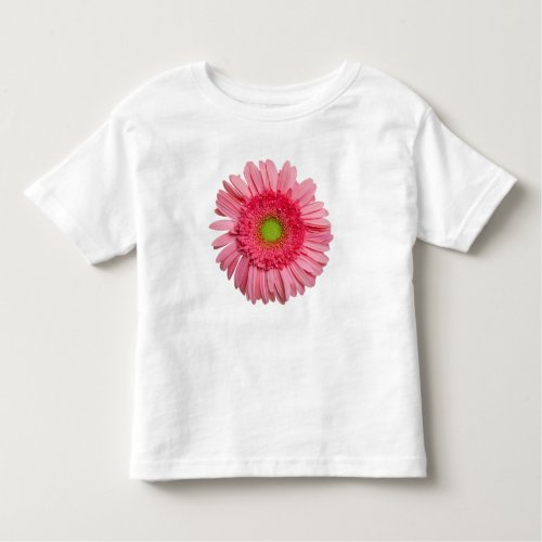 Pink Gerbera Daisy Toddler T_shirt