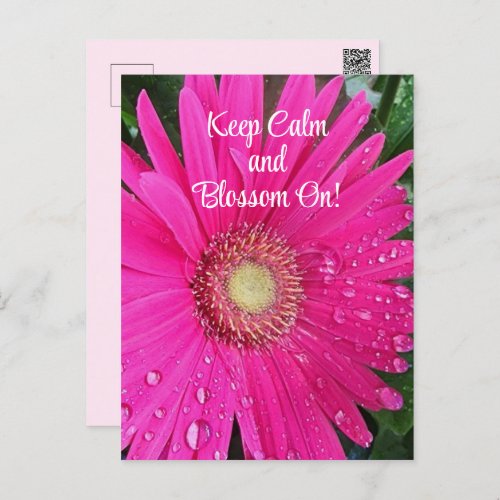 Pink Gerbera Daisy Water Droplets Keep Calm Postcard