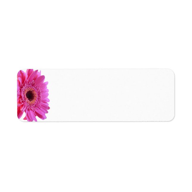 Pink Gerbera Daisy Wedding Blank Address Labels (Front)