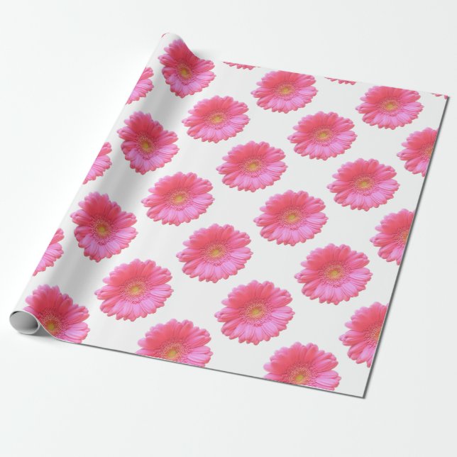Pink gerbera daisy wrapping paper (Unrolled)