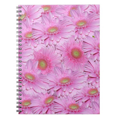 Pink Gerbera Flower Clusters  Notebook