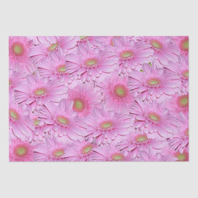 Pink Gerbera Flower Clusters,  Tissue Paper (Front)
