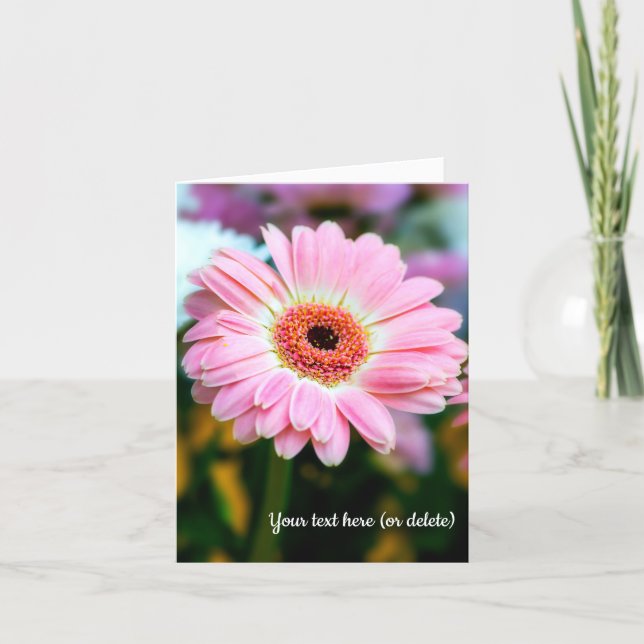 Pink Gerbera Folded Greeting Card (Front)