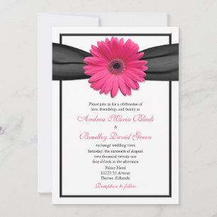 Pink Gerbera with Black Ribbon Invitation