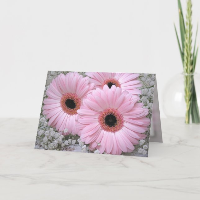 Pink Gerberas - Birthday Card (Front)