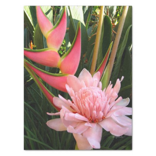 Pink Ginger Heliconia Tissue Paper