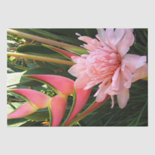 Pink Ginger Heliconia Tissue Paper
