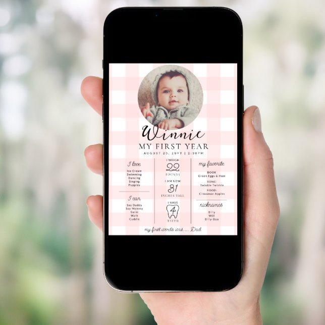 Pink Gingham First Birthday Milestone Timeline Poster (Front Digital)