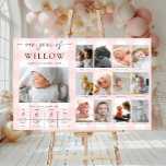 Pink Gingham First Birthday Photo Milestone Poster<br><div class="desc">Celebrate the first 12 months of your little one with this first birthday one year of milestone photos sign. Customize the sign with your monthly milestone images and baby's fun facts. To add text to the design simply select the "Customize It" button above for more advanced customization features.</div>