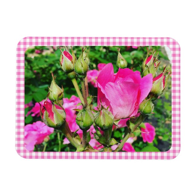 Pink Gingham Plaid Rose Garden Photo Magnet (Horizontal)