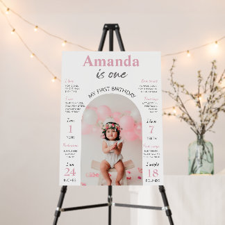 Pink Girl First Birthday Milestones Sign
