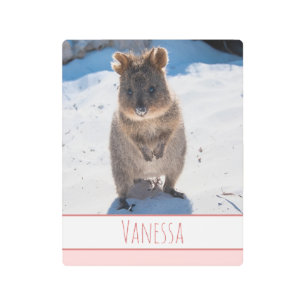 Pink Girls Kids Quokka Beach Personalised Metal Print