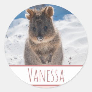 Pink Girls Personalized Quokka Beach Sticker
