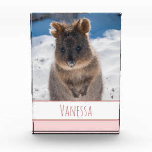 Pink Girls Personalized Quokka on the Beach Photo Block