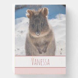 Pink Girls Personalized Quokka on the Beach Wooden Box Sign