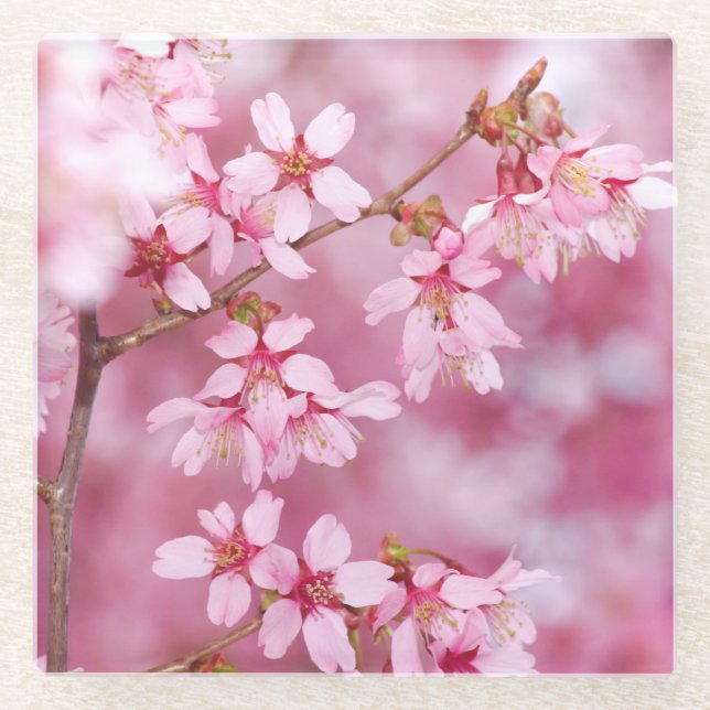 Pink Glass Coster Glass Coaster (Front)