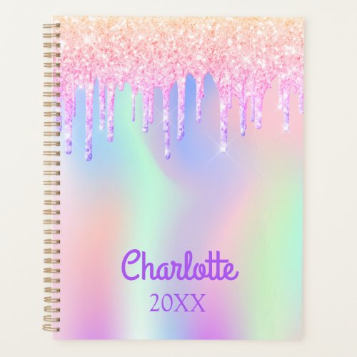 Pink glitter holographic rose gold monogram 2022 planner