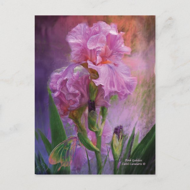 Pink Goddess Art Postcard (Front)