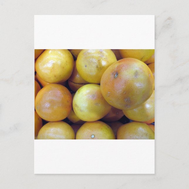 Pink Grapefruit Postcard (Front)