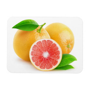 Pink grapefruits magnet