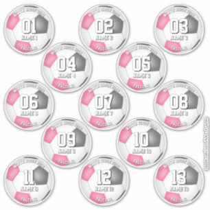 pink gray girls soccer team colors 13 athletes sticker