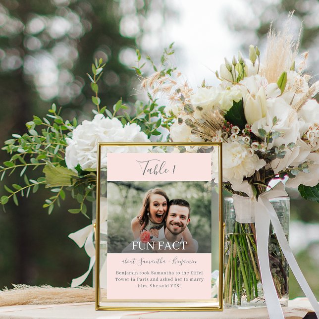 Pink & Gray Script Fun Facts Photo Wedding Table Number (Creator Uploaded)