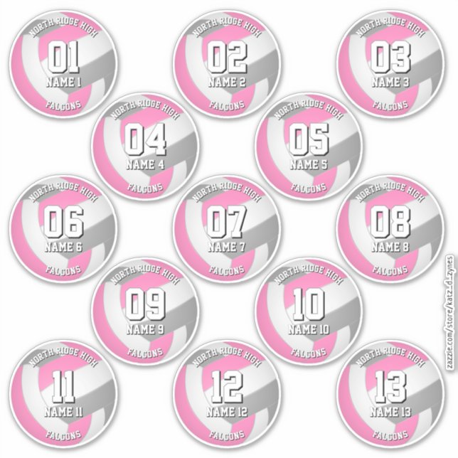 pink gray volleyball team stickers 13 athletes (Front)